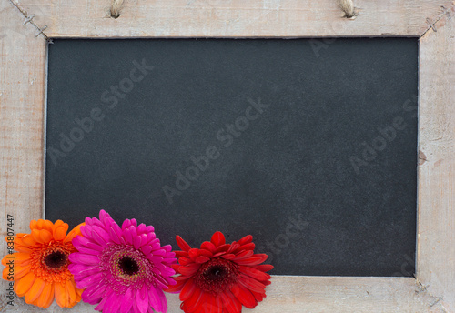 Wooden panel / Wooden panel with Gerberas