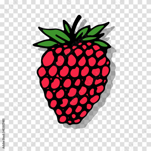 Raspberry sketch on transparent background for your design