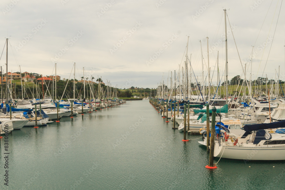 Fototapeta premium Gulf Harbour Marina, Auckland, New Zealand