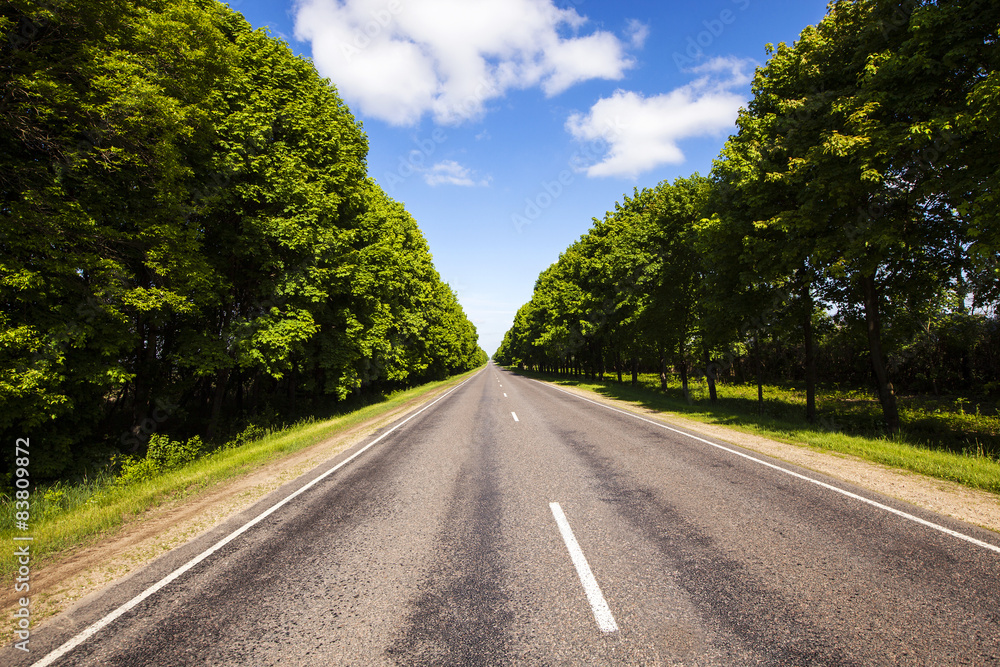 Fototapeta premium summer road 
