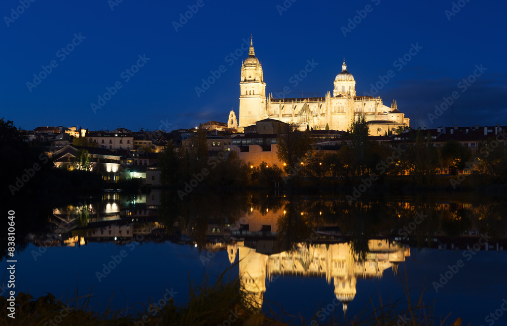 Night view of Salamanca with Tormes River and Cathedral