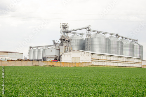 in the field of agricultural enterprise with capacity for grain