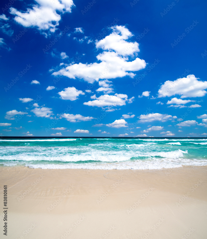 Fototapeta premium sea