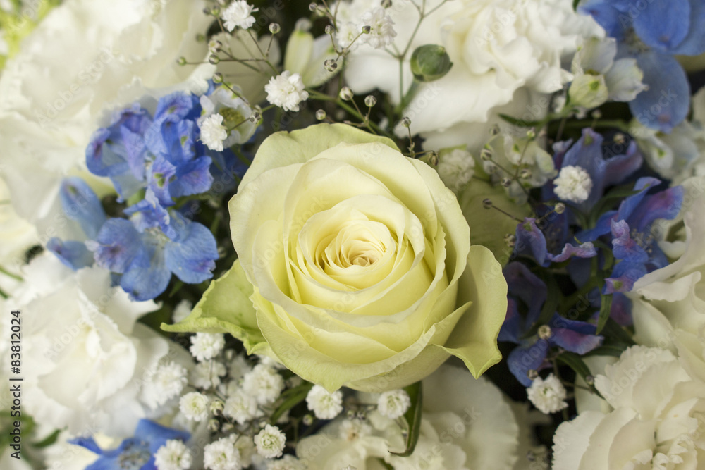 Obraz premium Bukiet biało-niebieski