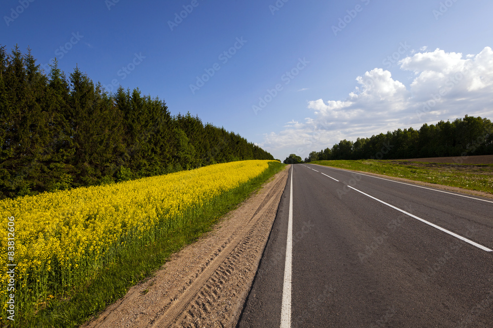Naklejka premium the asphalted road 