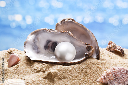 Obraz na plátně Shell with a pearl.