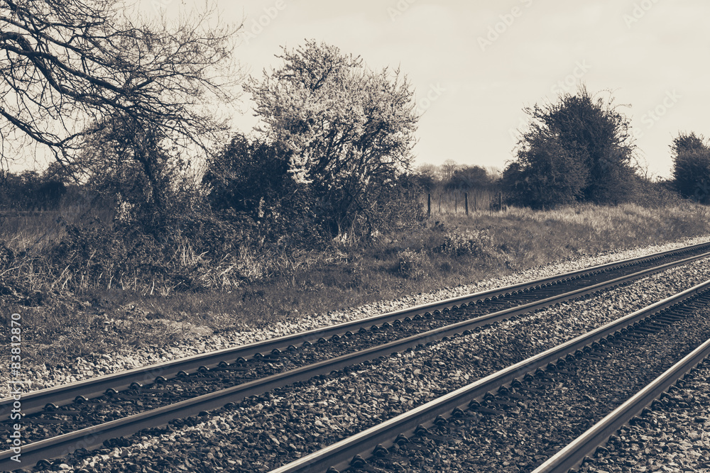 Fototapeta premium Train line, autumn season, monochrome