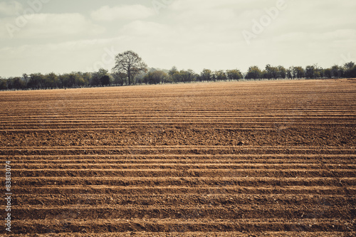 Wallpaper Mural Ploughed farmland in late winter in rural Suffolk, England Torontodigital.ca