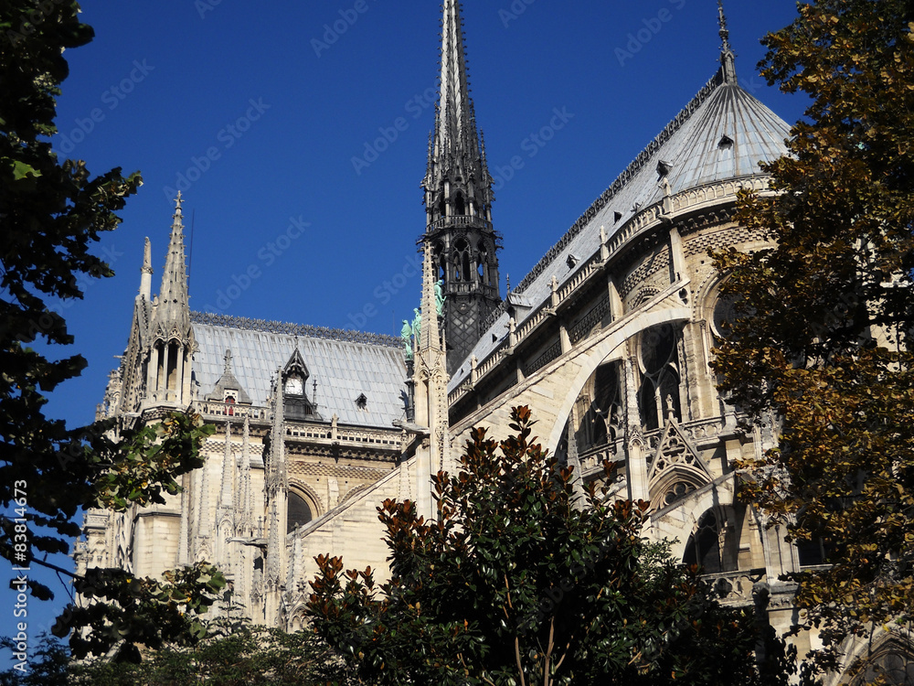 Perspectivas de Notre Dame