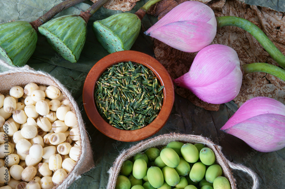 Collection lotus flower, seed, tea, healthy food Collection lotus flower, seed, tea, healthy food