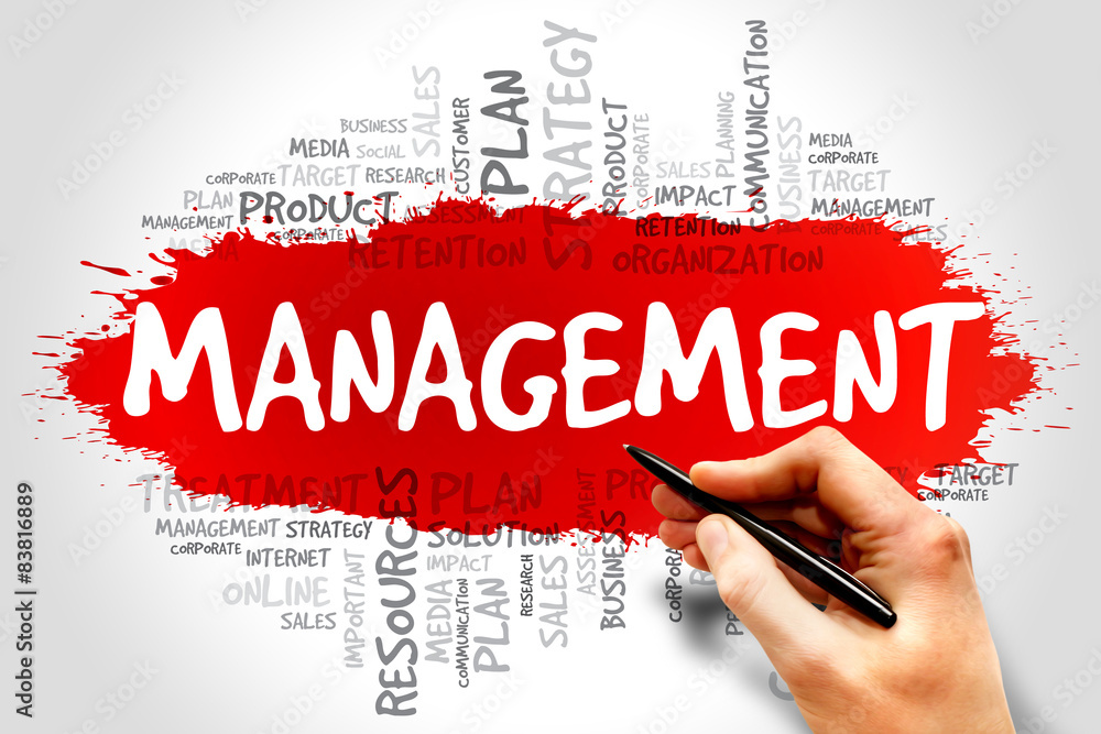 MANAGEMENT word cloud, business concept MANAGEMENT word cloud, business concept