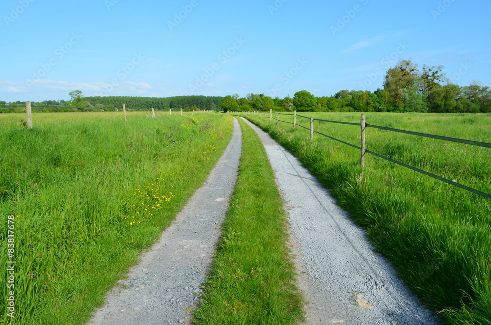 Marais de Troarn (Calvados)
