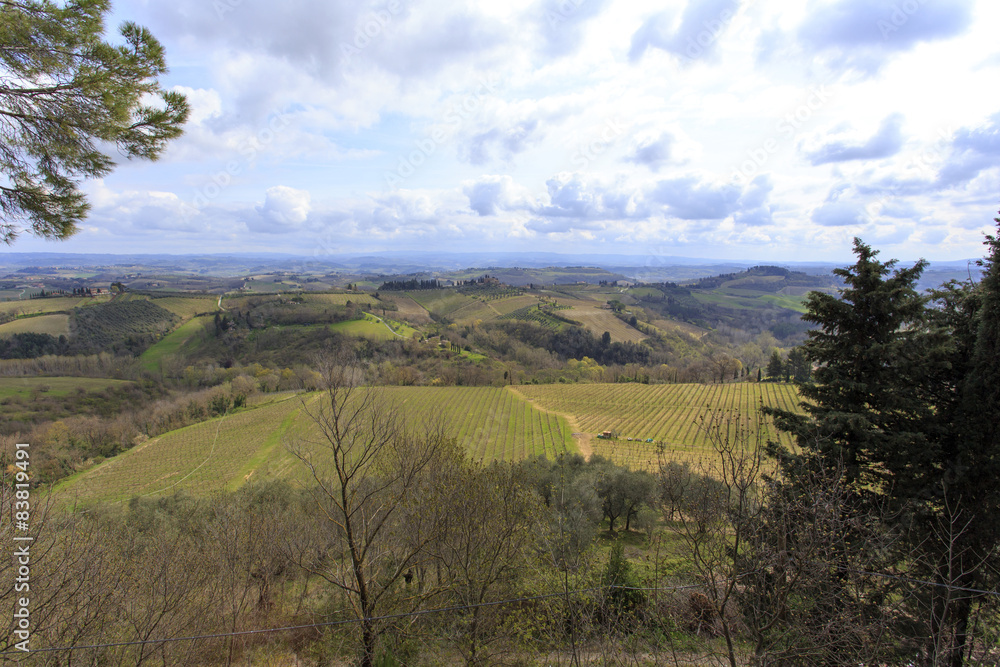 Obraz premium Tuscany wild landscape with field, groove, moody sky. Italy