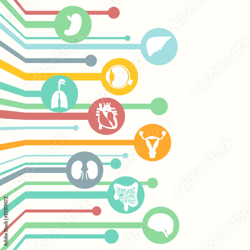 Concept of medical background. Human anatomy.