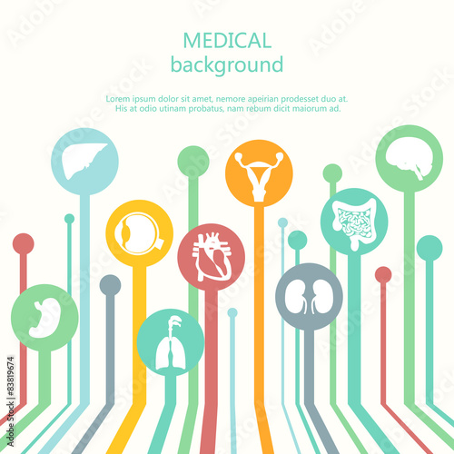 Concept of medical background. Human anatomy.