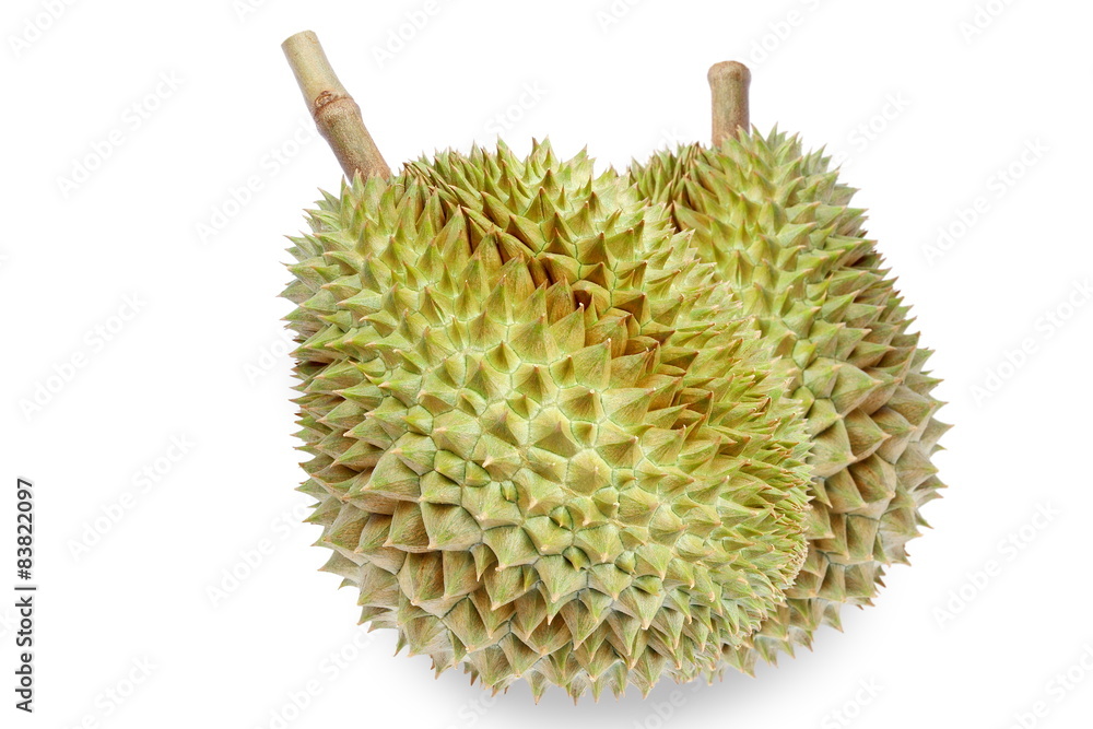 Fresh durian isolated on white background.King of fruits. Fresh durian isolated on white background.King of fruits.