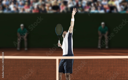 Quadro em tela Tennis Player.