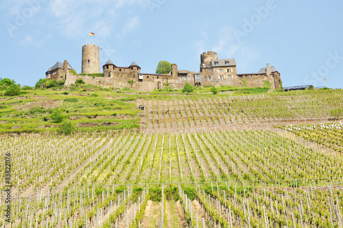 Weinberge mit Burg Thurant im Hintergrund 