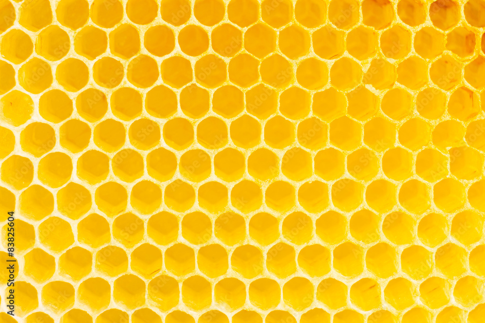 Honeycomb Honeycomb