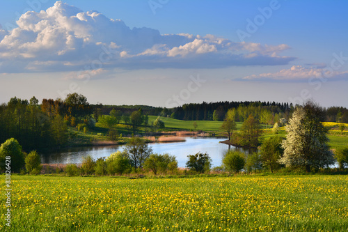 Fototapeta Naklejka Na Ścianę i Meble -  Spring landscape with lake