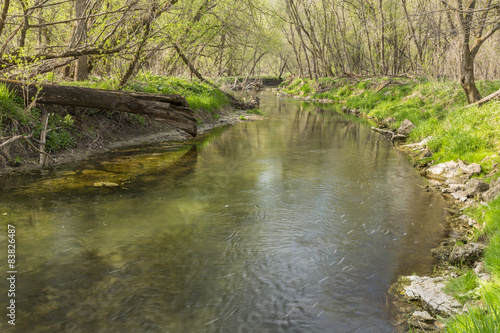 Canfield Creek In Spring