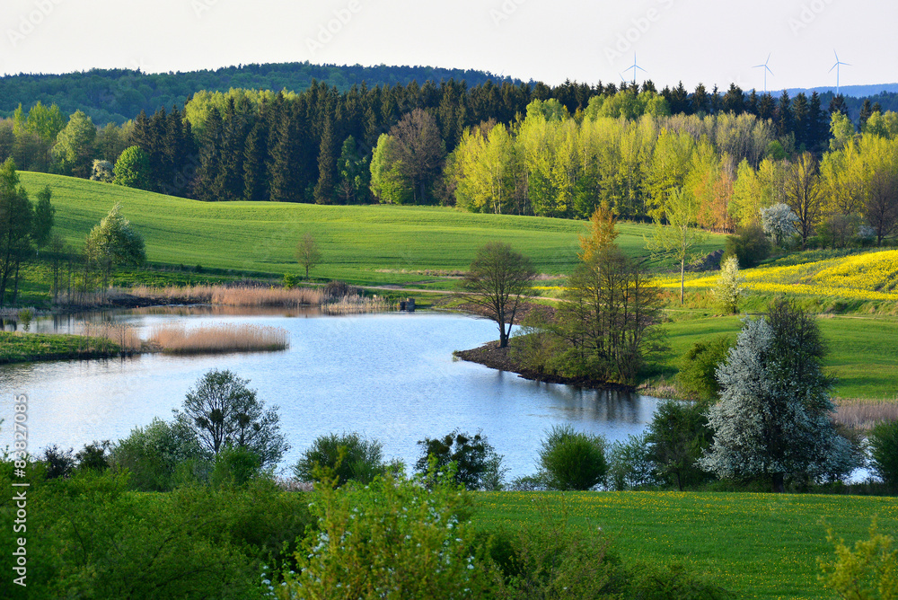Naklejka premium Wiosna krajobraz z jeziorem