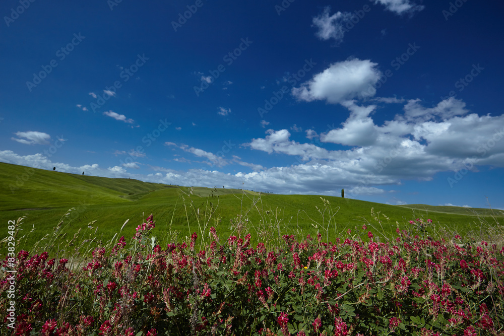 Scenic Tuscany landscape with rolling hills and beautiful clouds