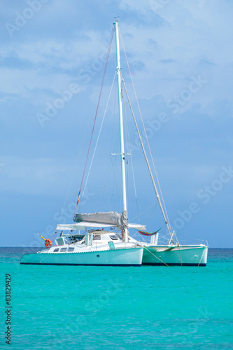 Beautiful view of a catamaran yacht anchored in a Caribbean bay with French flag