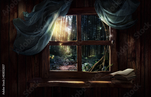 Fototapeta Magiczne okno z bajkowym lasem