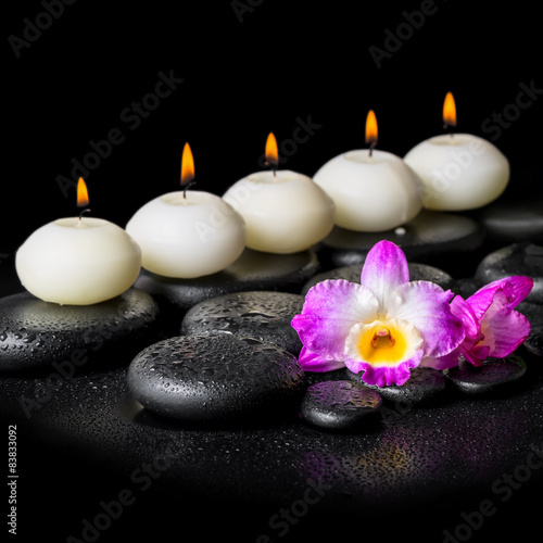 spa concept of orchid flower and row white candles on black zen