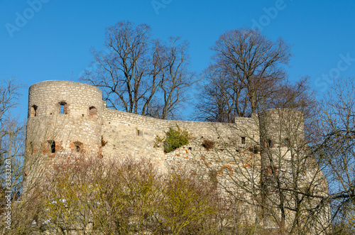 Burg Pappenheim photo