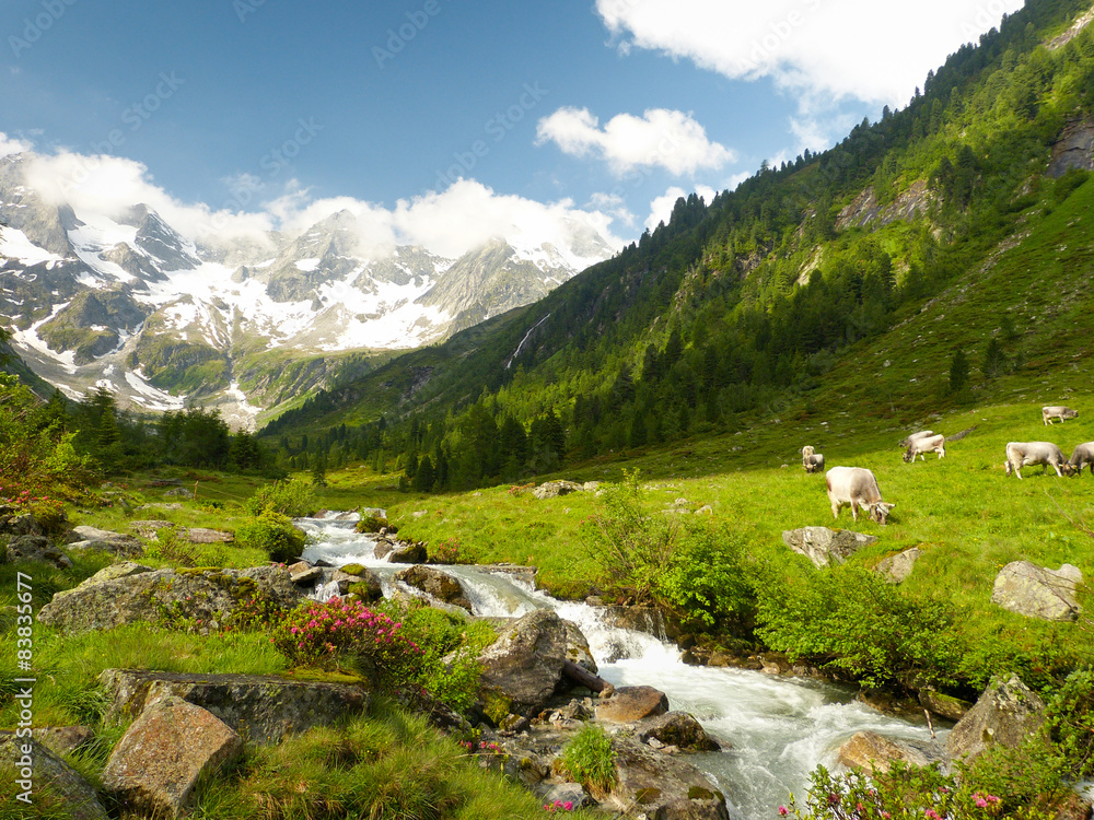 einmalige alpine Szene mit Wildbach und Gletscher im Hintergrund