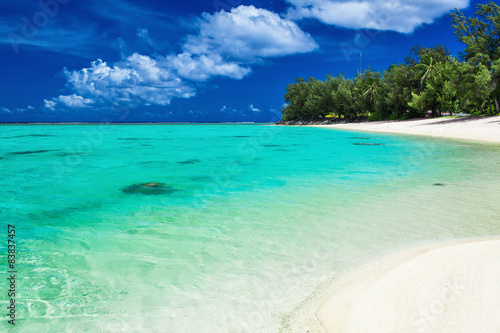 The best swimming beach with palm trees on tropical Cook Islands