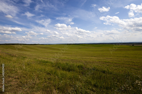 agriculture field 