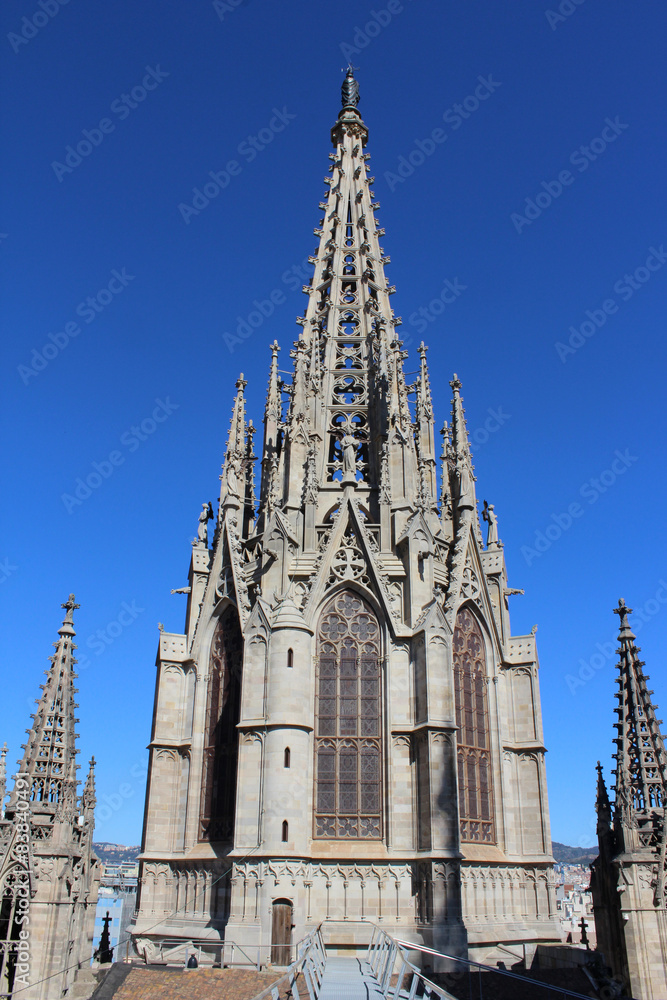 Cathedral of the Holy Cross and Saint Eulalia of Barcelona, Spain