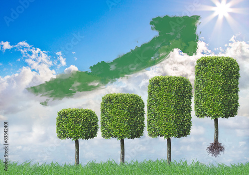 Green Investment Strategy