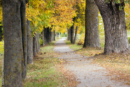 footpath in the city park  