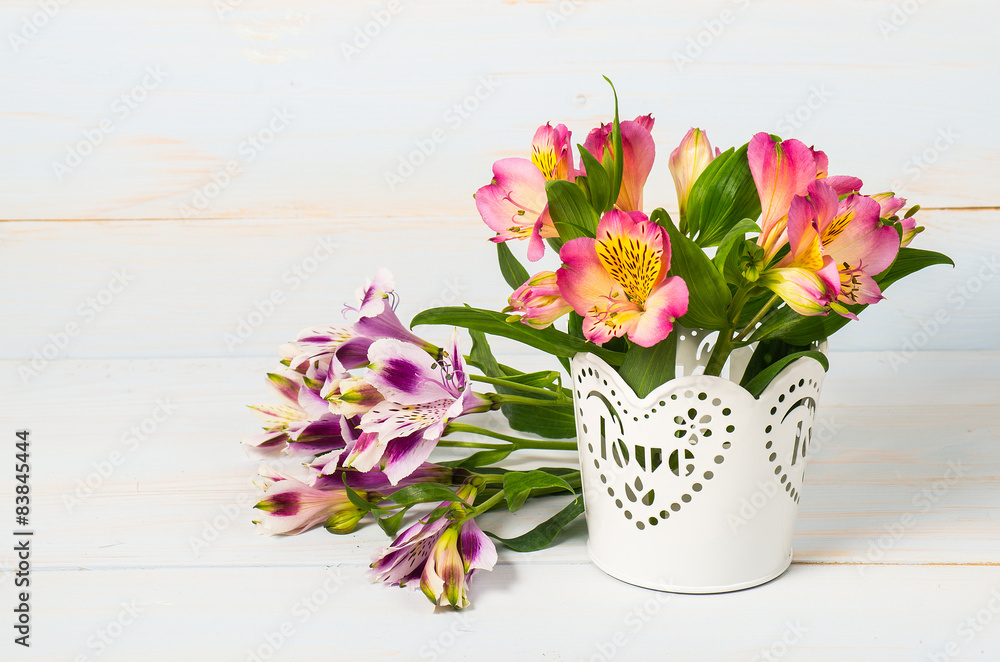 spring flowers in pot spring flowers in pot