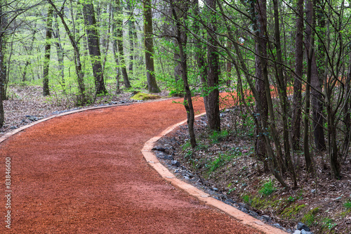 Pathway for Walking Sport