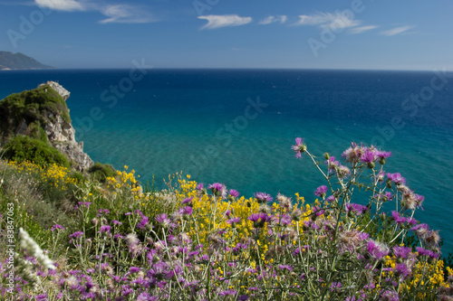 Beautiful sea view with flowers