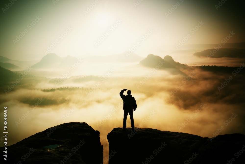 Beautiful moment of miracle awakening of nature, Beautiful moment of miracle awakening of nature,