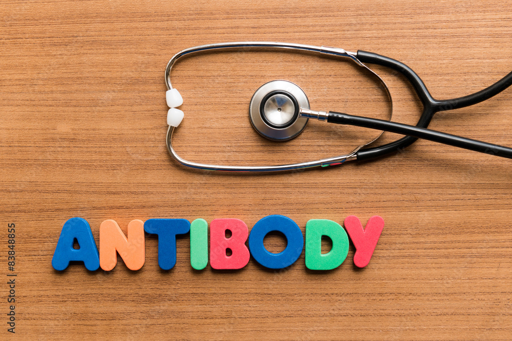 Antibody Antibody