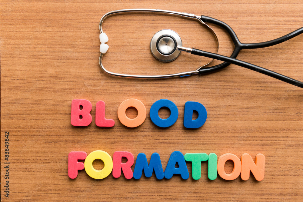 Blood formation. Blood formation.