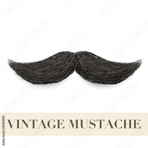 Realistic Black vintage curly mustache
