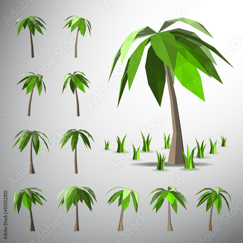 Low polygon 3D palm tree and grasses