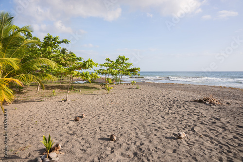 Einsamer Strand in Dominica