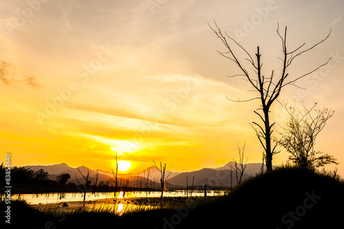 silhouette of dry tree with lake and mountain in sunset