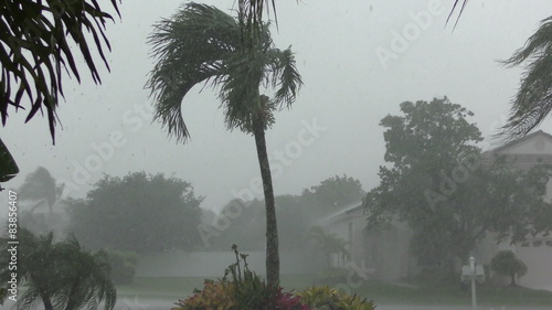 Tropical storm in Florida filmed in 4K