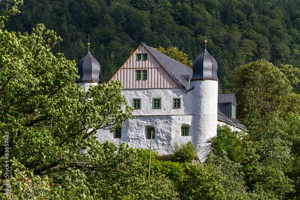 Blick auf Schloss Schwarzburg