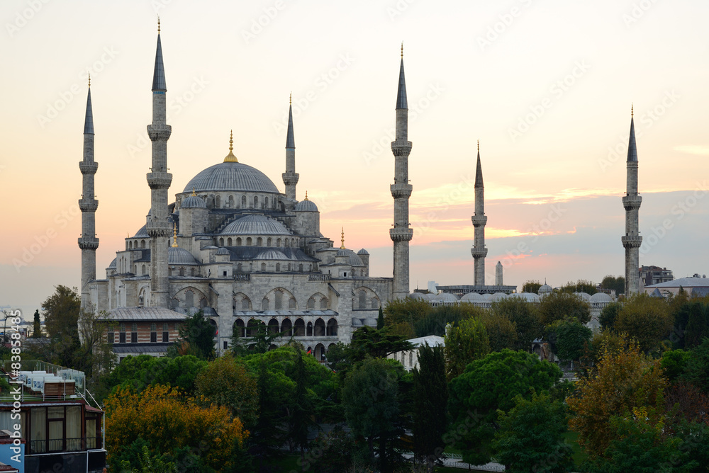 Istanbul. Blue Mosque at twilight